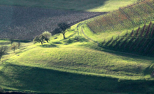 沉稳大气的男孩名字,1200个好听的男孩名字