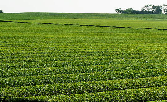 好听男孩名字,独特内涵姓名大全男孩