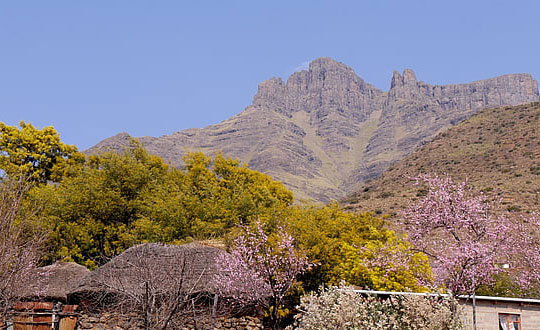 男孩子取名,好听的男孩名字,男孩起名大全：起名方法