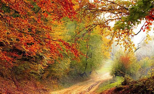 女孩名字,女孩取名字大全,男孩名字,男孩取名字大全：内涵有寓意的