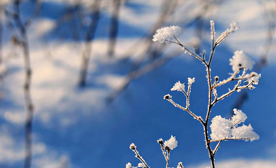 用生辰八字为新生宝宝起名字