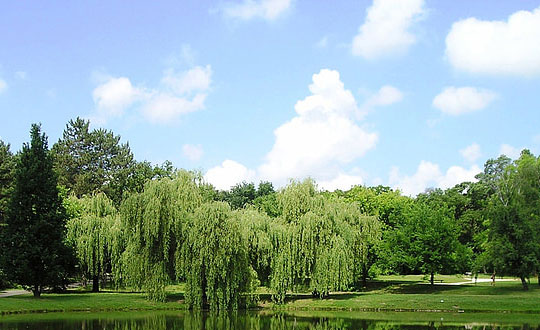 宝宝起名的含义有哪些