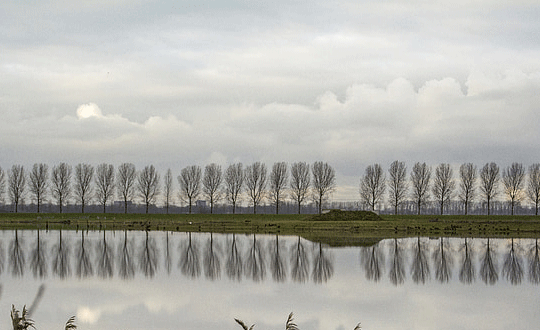 男孩取什么名字好听有内涵