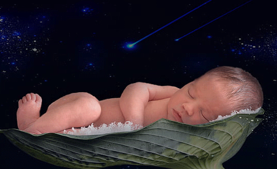 搞笑可爱的宝宝小名大全