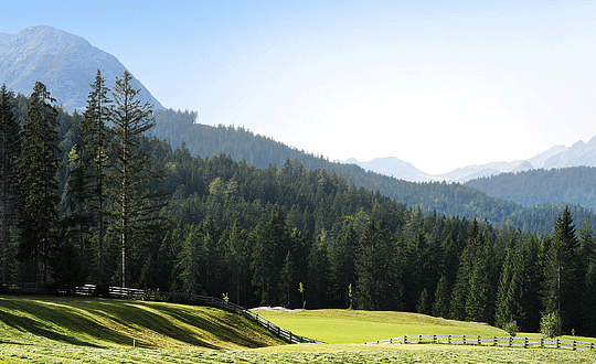 从诗句中取古风的名字