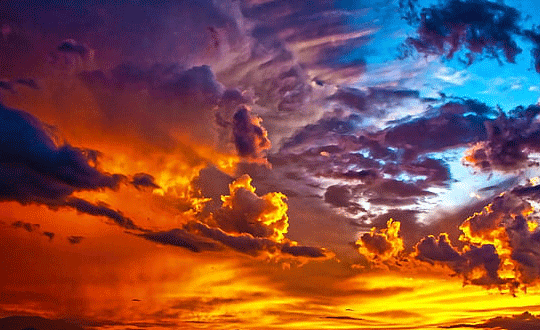 带草字头的字女孩取名