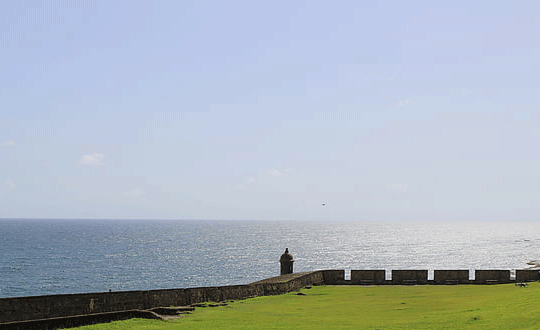 张姓取名字大全女孩