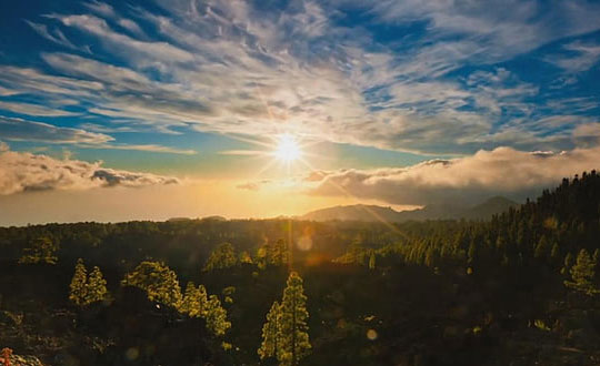 百家姓取名大全：钟离姓女孩起什么名字让人好记