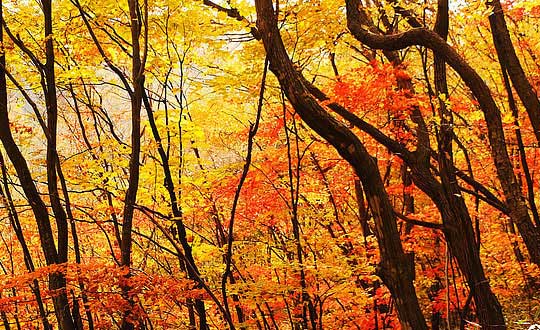 小名乳名大全：宝宝起乳名 精选8大方法