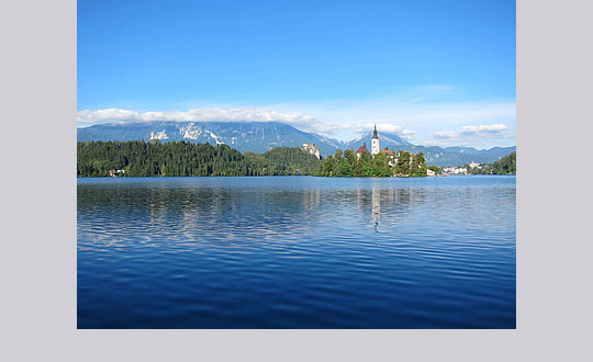 百家姓取名大全：姓罗的名人有哪些?