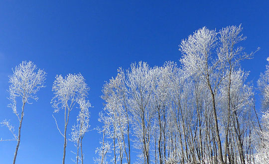 百家姓取名_姓钟离的复姓名字