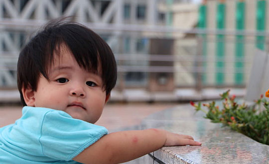 小名乳名大全：这样起名你学会了吗