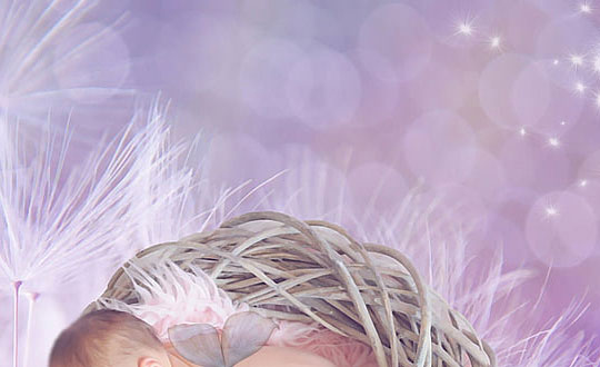 百家姓起名_姓郝好听的男孩五行起名常用字