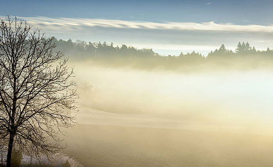 马姓取名-马姓的来源-姓马的名人有哪些