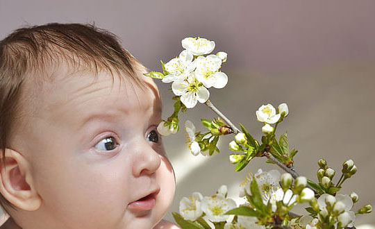 最简单的宝宝小名起名方法