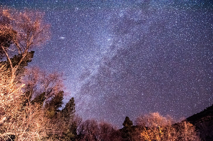 王者荣耀好听的游戏名字女