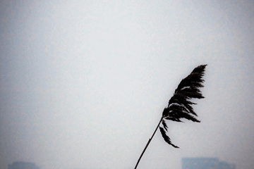 电视剧去有风的地方经典语录大全,优秀台词