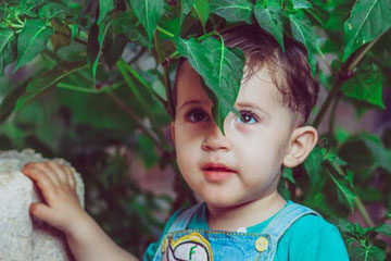 姓李的男孩名字属虎