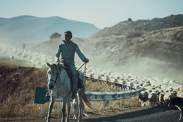 吃鸡游戏名字双字id