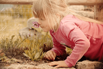 女生笔名 诗意 唯美精选