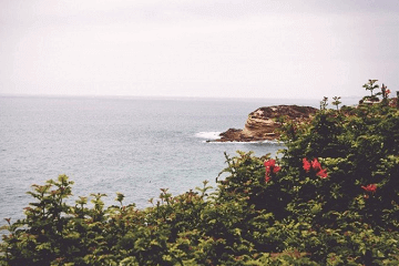 一看就暖心的网名,特别好听