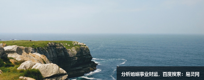 苏姓好听稀少的男孩名字大全