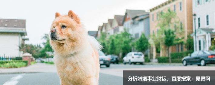 杨姓简单寓意好的名字有哪些？