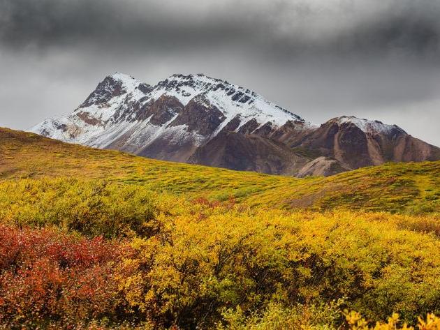和平精英名字特殊符号