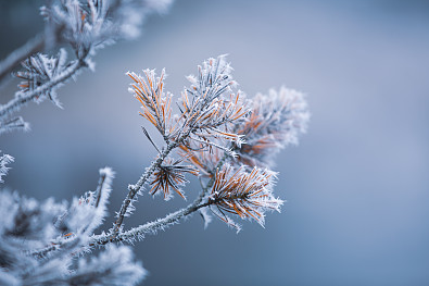 避免撞车的浪漫网名