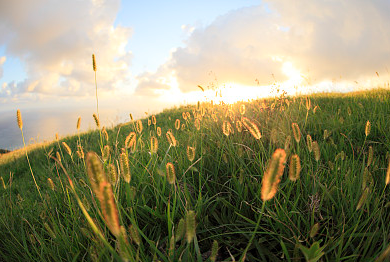 微信名字简约干净,微信名字2024新款