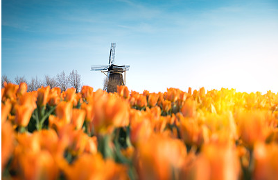 搞笑情侣昵称一对一,微信网名2024新款(精选30款)