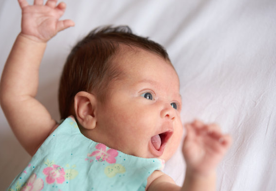 宝宝起名：龙年清新脱俗的女宝宝名字