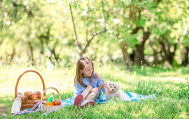 女孩取名丨一听就念念不忘的女孩名字,真的很惊艳!