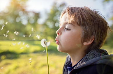 张姓阳刚大气男孩名字,属龙张姓简单大气的名字