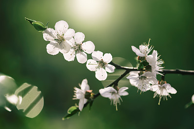 微信昵称大全:女生四个字具有深意的微信名字