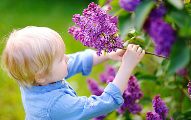 起名必看!出自《山海经》中仙气缭绕的男孩好名字