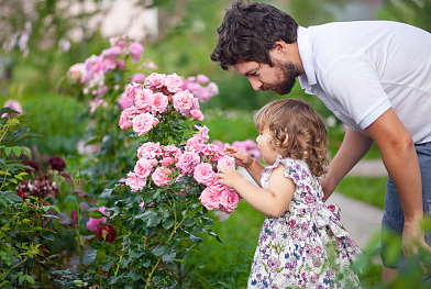 【诗经】里寓意平安喜乐的女孩名