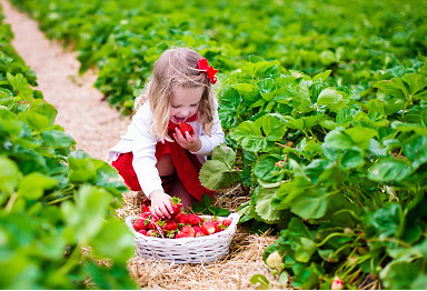 宝宝取名：怎样给姓柯新生儿取名字