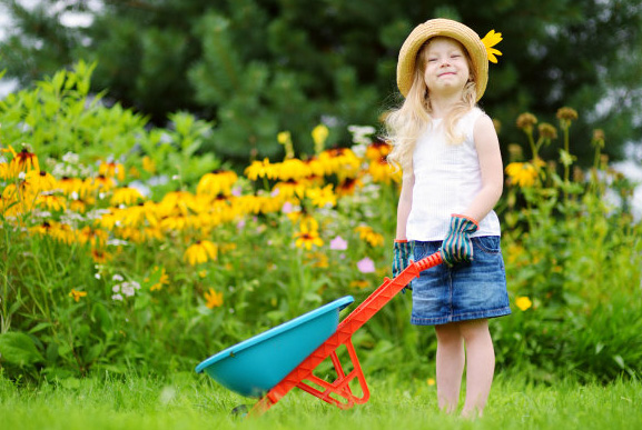 推荐唯美的朱姓女孩名字,让每一个名字都如诗如画!