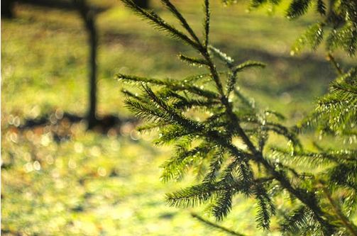 小众独特的店名，让你的店铺一秒出圈！