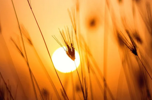 网游昵称:魔兽世界游戏名字大全集