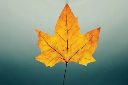 分享30个出自道德经中充满智慧的好名字