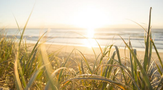 免费起名字，分享30个融合音乐美学的诗意名字