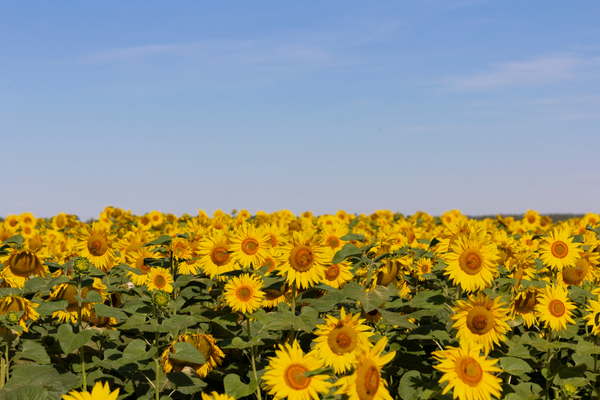 适合长久使用的微信网名