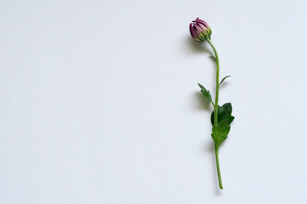 网名 | 永远不过时的网名id