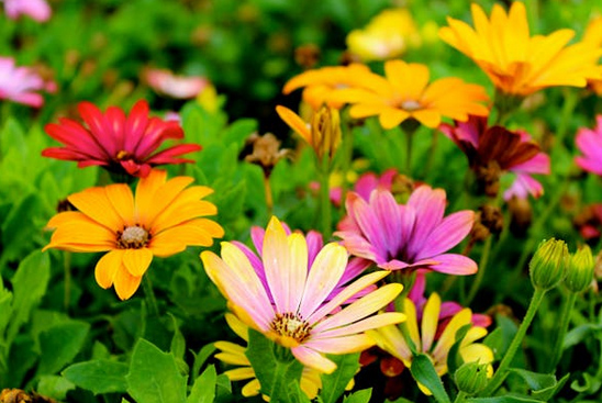 网名大全网,比水还干净的两字网名昵称