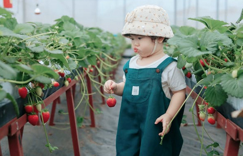 女孩起名,女孩起名甜和恬哪个更好?
