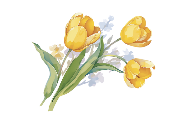 网名大全丨永不过时的经典网名集