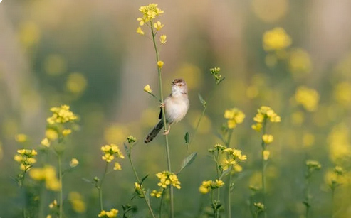 公司起名丨科技感爆棚的公司名称（分享30个）