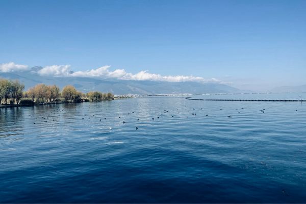 独特又撩人的昵称二字,网名取名